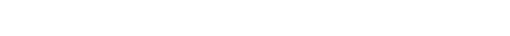 anideallocation4